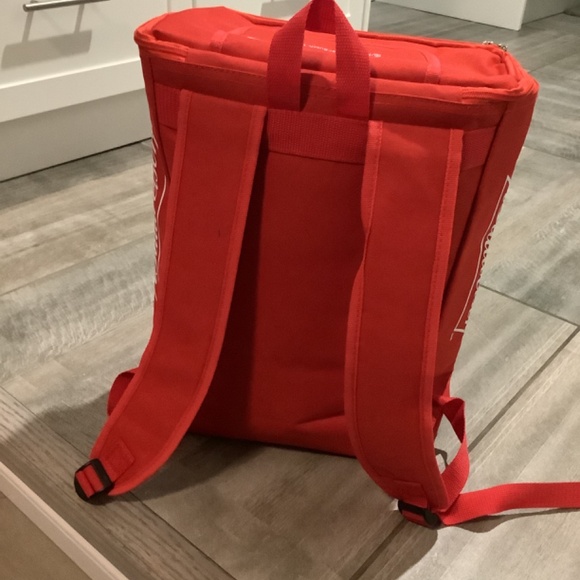Budweiser King of Beers Cooler Backpack - Picture 4 of 4